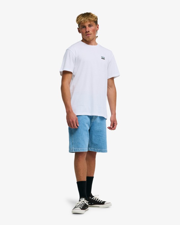 2 Icon Wave - T-Shirt for Men White EBYZT00575 Billabong