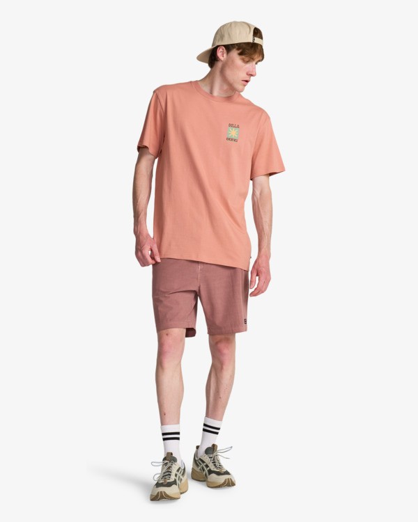 2 Good Times - T-shirt met korte mouwen voor Heren Pink EBYZT00578 Billabong