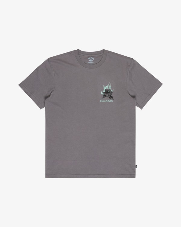 4 Retro Poster Gris EBYZT00610 Billabong