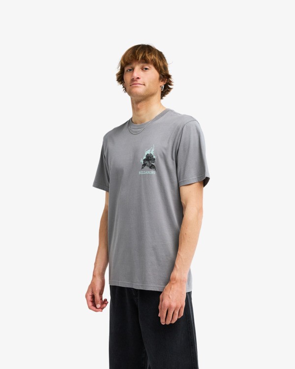 3 Retro Poster Gris EBYZT00610 Billabong