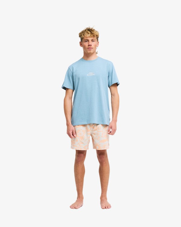 1 Ty Williams Droppin Bleu EBYZT00649 Billabong