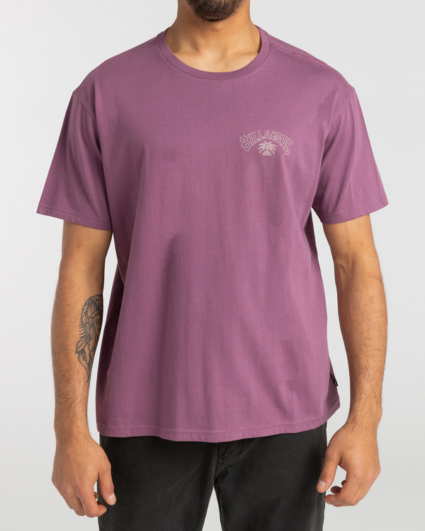 2 Arch Theme - T-shirt para Homem  F1SS25BIF2 Billabong