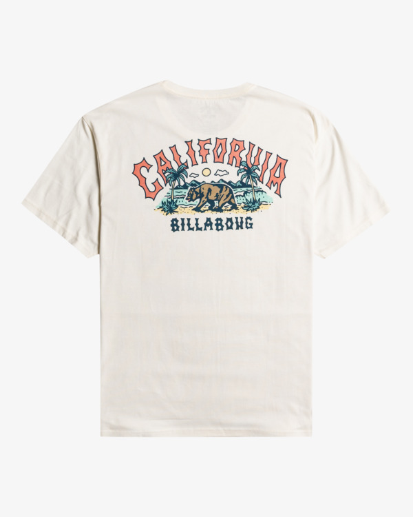 6 Arch Dreamy Place - T-Shirt voor Heren White F1SS38BIF2 Billabong