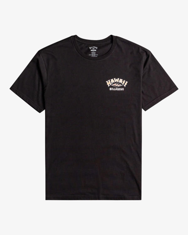 5 Arch Dreamy Place - T-shirt pour Homme  F1SS38BIF2 Billabong