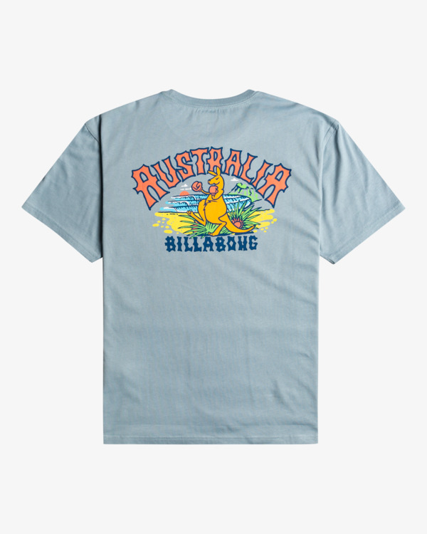 6 Arch Dreamy Place - T-Shirt voor Heren Blue F1SS38BIF2 Billabong