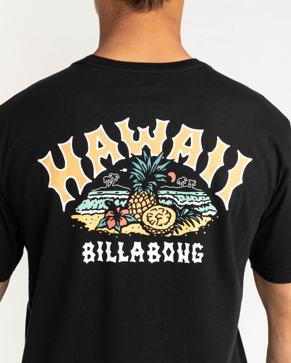 4 Arch Dreamy Place - T-shirt pour Homme  F1SS38BIF2 Billabong