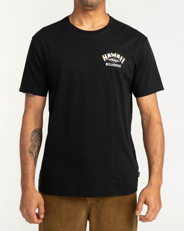 0 Arch Dreamy Place - T-shirt pour Homme  F1SS38BIF2 Billabong