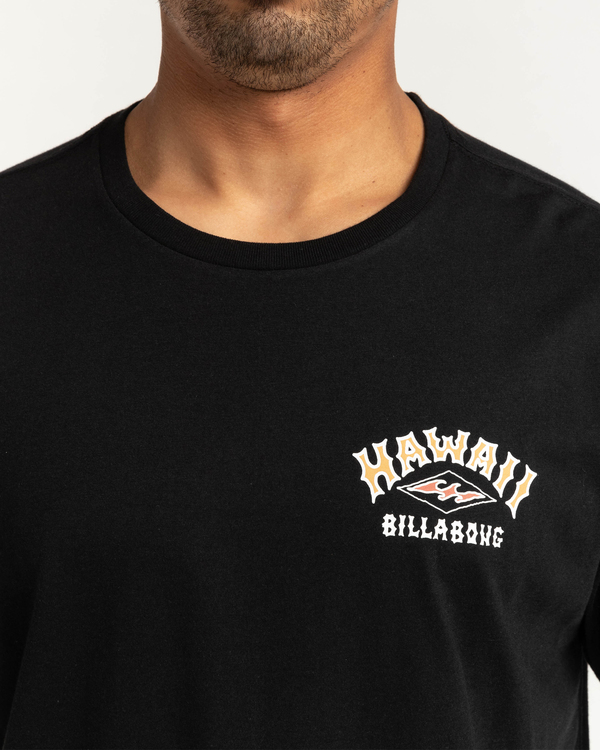 2 Arch Dreamy Place - T-shirt pour Homme  F1SS38BIF2 Billabong