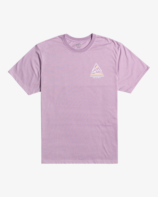 5 Peak - T- Shirt voor Heren Gray F1SS58BIF2 Billabong