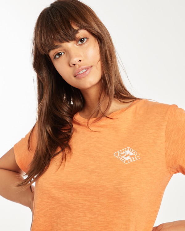 2 Timeless T-Shirt Naranja H3SS15BIMU Billabong