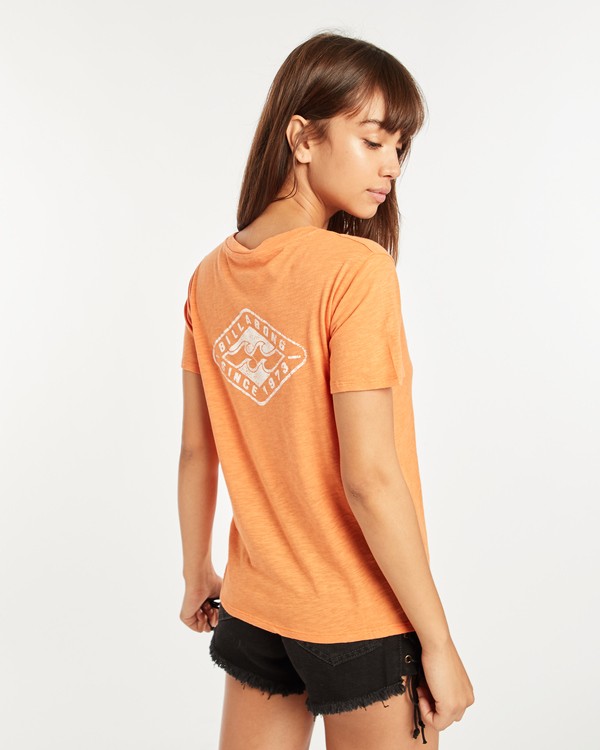 3 Timeless T-Shirt Naranja H3SS15BIMU Billabong