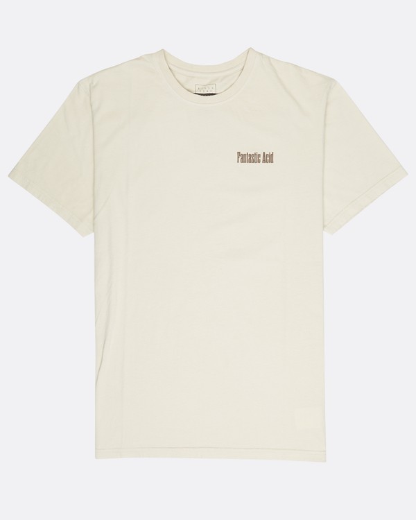 2 Fantastic Acid T-Shirt  L1SS36BIF8 Billabong