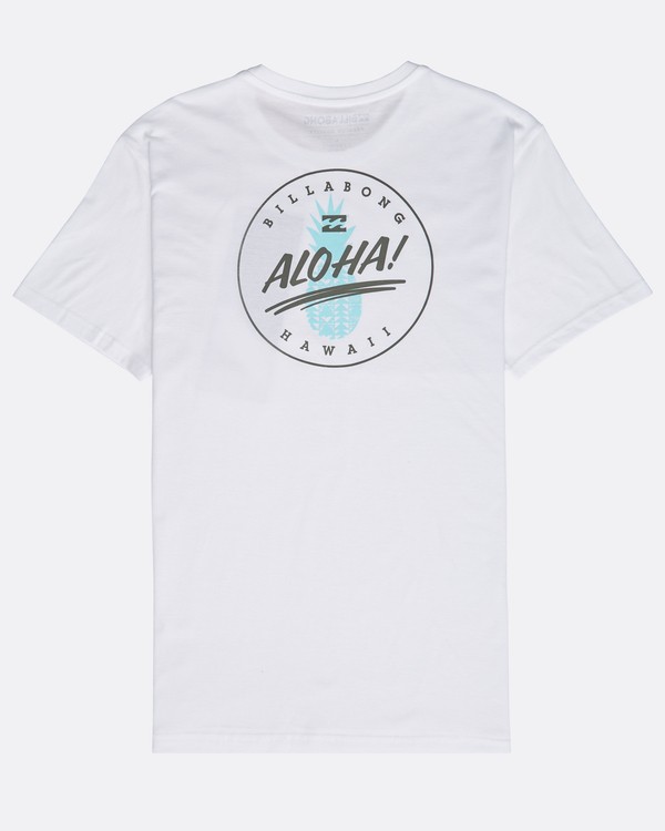 1 Alhoa Tee Ss  N1SS49BIP9 Billabong