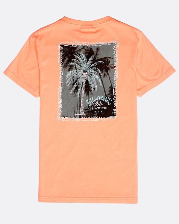 1 Boys' Get Back T-Shirt  N2SS08BIP9 Billabong