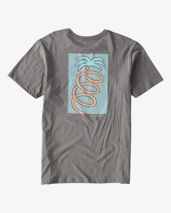 3 Companion T-Shirt  P1SS19BIS9 Billabong