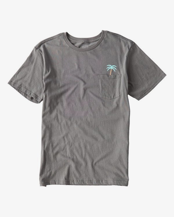 0 Companion T-Shirt  P1SS19BIS9 Billabong