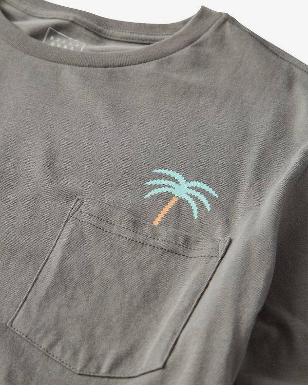 1 Companion T-Shirt  P1SS19BIS9 Billabong