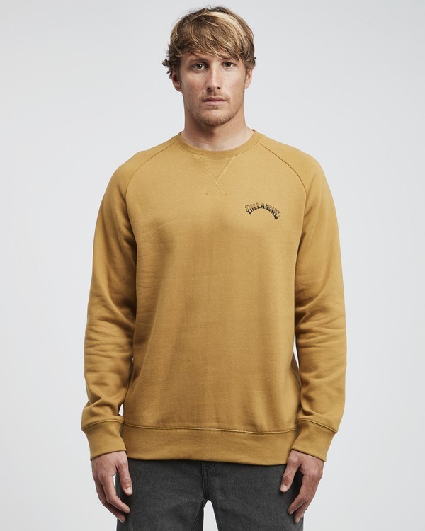 0 Iconic - Crew Pullover für Männer Braun Q1CR06BIF9 Billabong