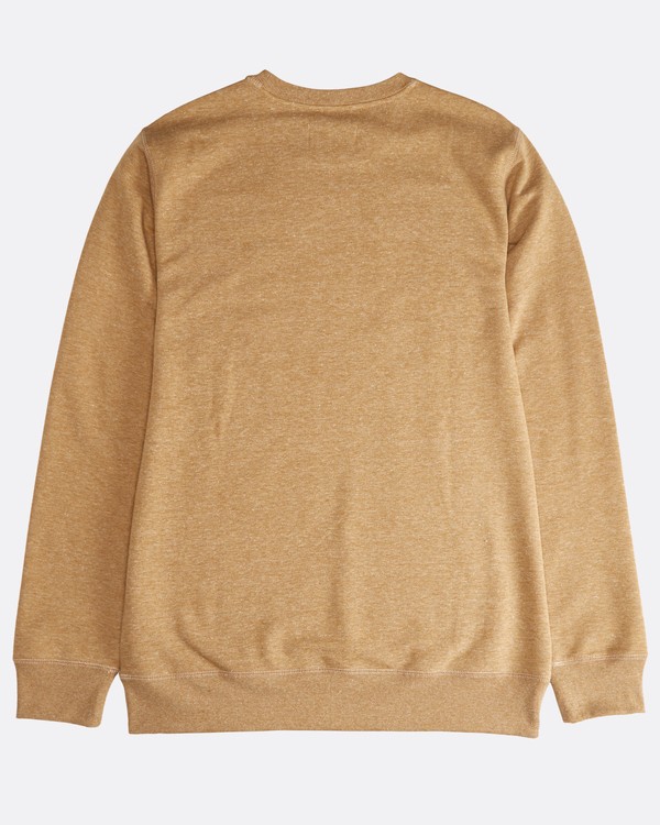 4 All Day - Crew Pullover f&uuml;r M&auml;nner Braun Q1FL01BIF9 Billabong