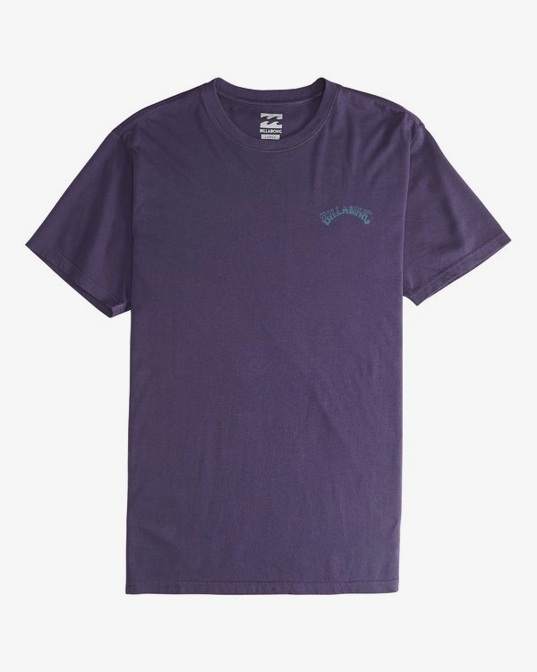 2 Iconic - T-Shirt à manches courtes pour Homme Violet Q1SS06BIF9 Billabong
