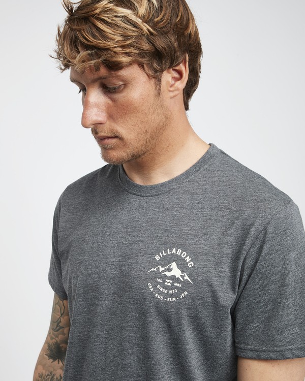 4 Aurora - T-Shirt f&uuml;r M&auml;nner Grau Q1SS23BIF9 Billabong