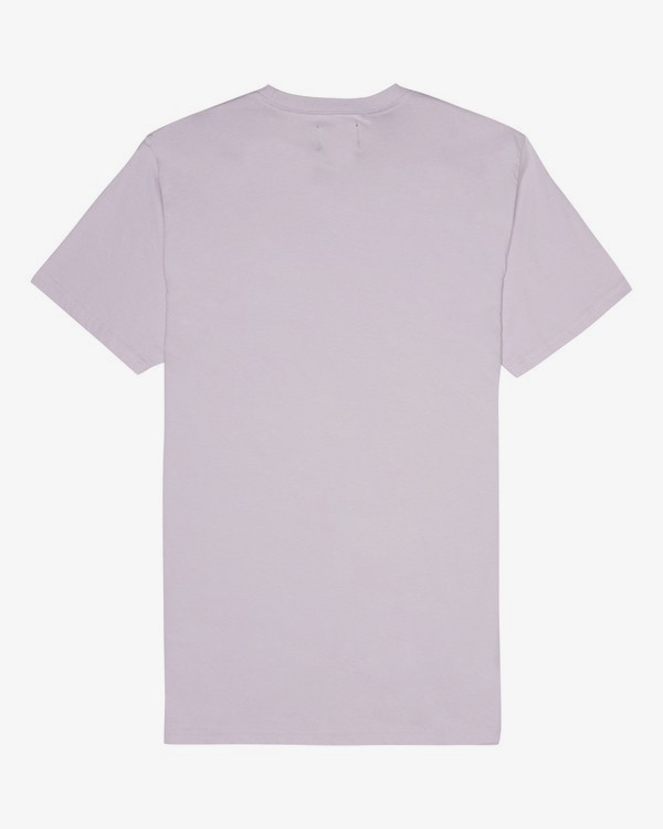 1 Allday Printed - T-Shirt für Herren  S1JE16BIP0 Billabong