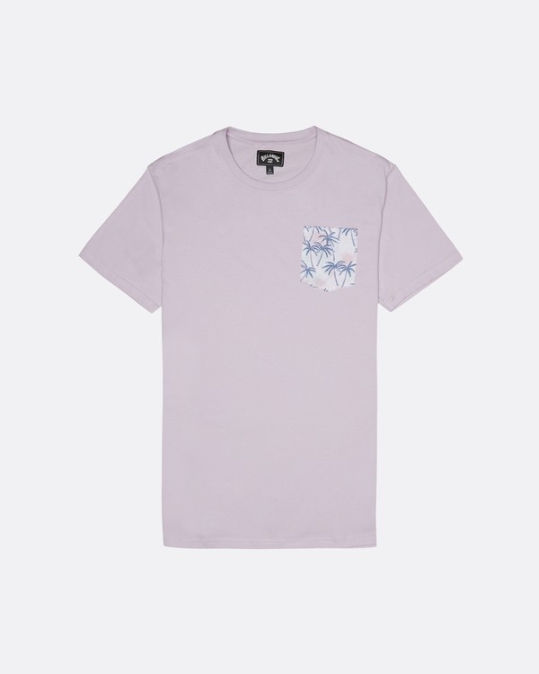 2 Allday Printed - T-Shirt f&uuml;r Herren Violett S1JE16BIP0 Billabong