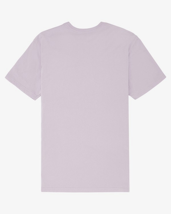 1 Arch Washed - T-Shirt für Herren Violett S1SS02BIP0 Billabong