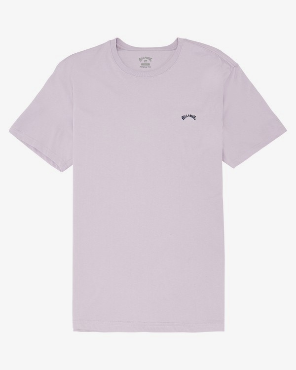 0 Arch Washed - T-Shirt für Herren Violett S1SS02BIP0 Billabong