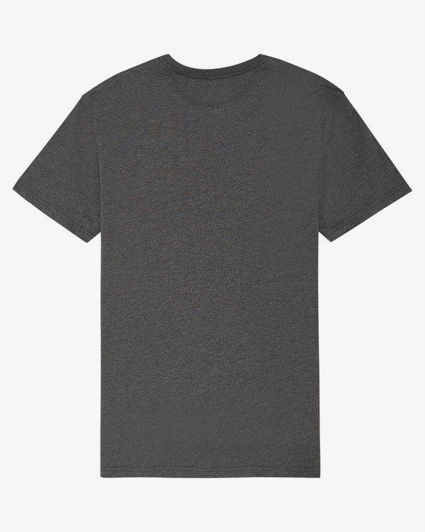 1 State Beach - T-Shirt für Herren Beige S1SS03BIP0 Billabong
