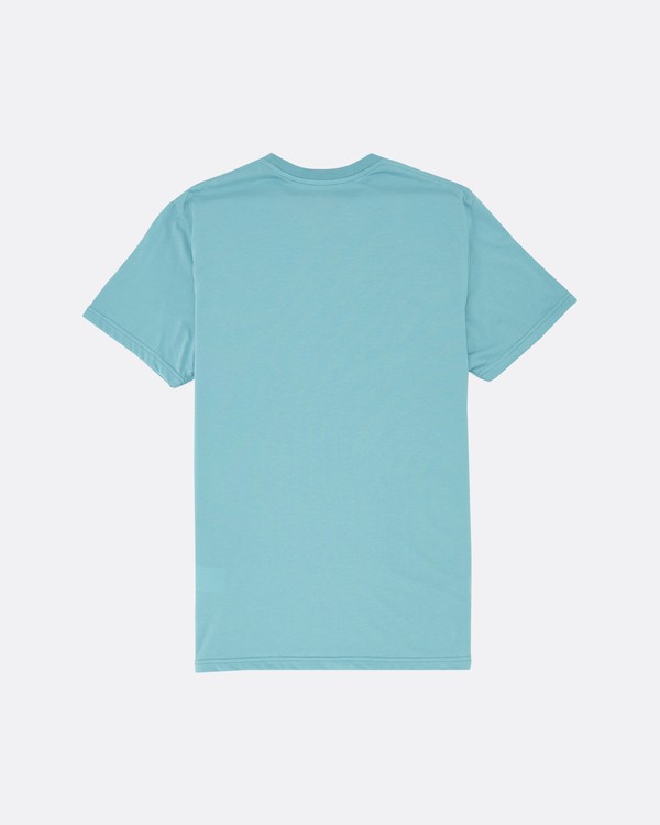 1 A Frame - T-Shirt for Men  S1SS54BIP0 Billabong