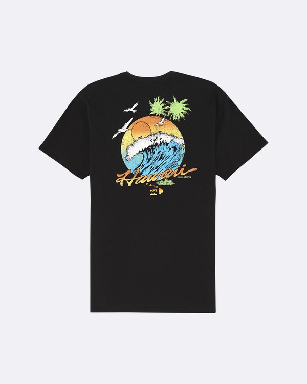 1 Dreamy Place - Camiseta para Hombre  S1SS60BIP0 Billabong
