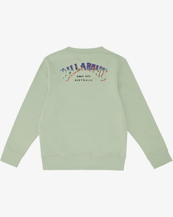 1 Arching - Sweatshirt für Jungen Grün S2CR01BIP0 Billabong