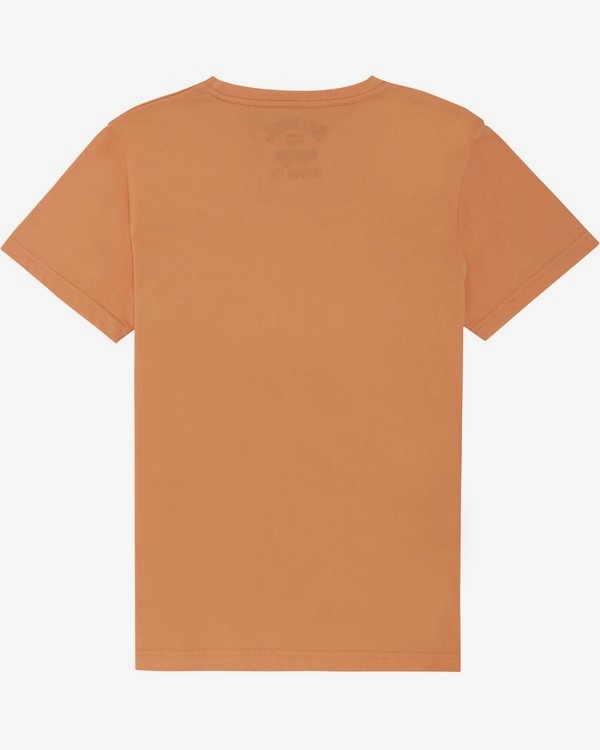1 The Inside - Camiseta para Niño Beige S2SS14BIP0 Billabong
