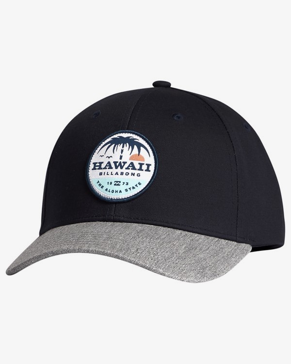 2 Dreamy Place - Snapback Cap für Herren Blau S5CM02BIP0 Billabong
