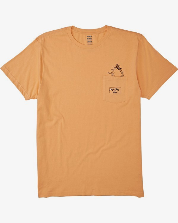 3 Lorax - T-Shirt for Men Orange T1SS36BIS0 Billabong