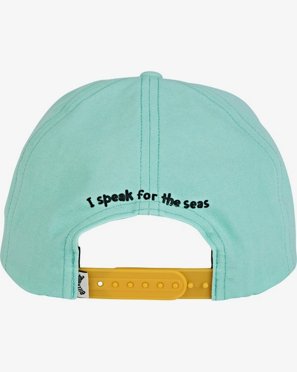 2 Swonee - Snapback Cap Green T5CM02BIS0 Billabong