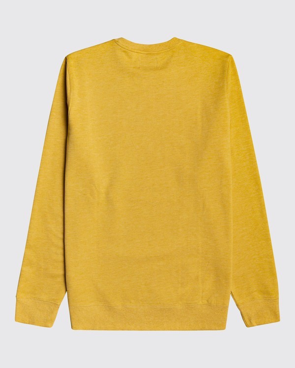1 All Day - Sweatshirt for Men Beige U1FL03BIF0 Billabong