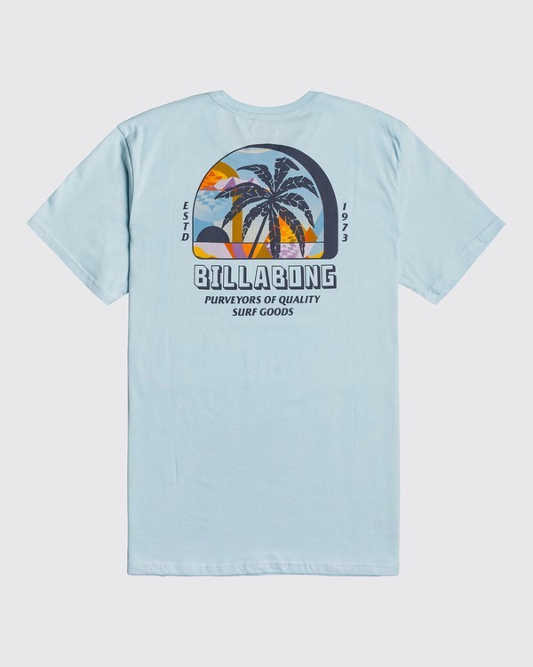 5 Palmas - T-Shirt for Men Blue U1SS78BIF0 Billabong