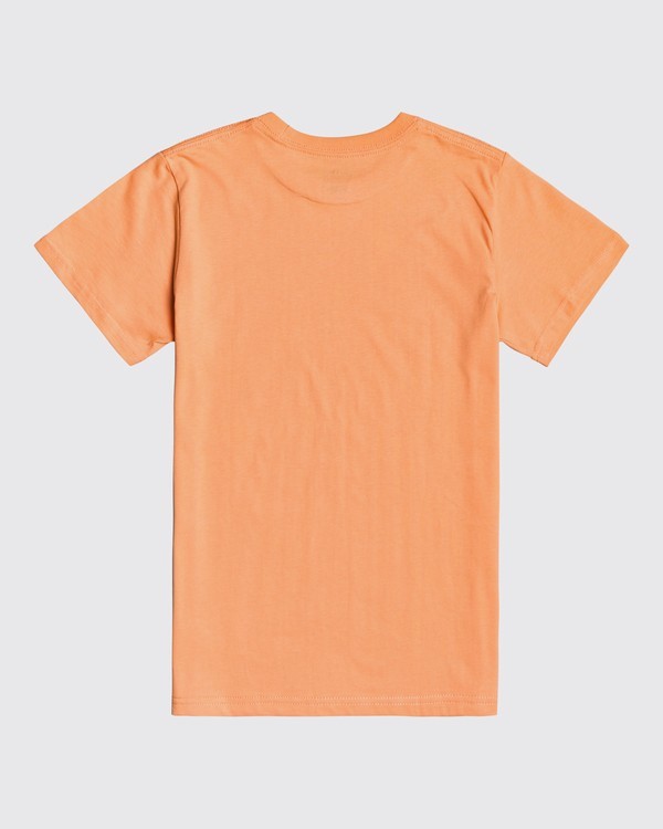 1 Inversed - T-Shirt for Boys  U2SS10BIF0 Billabong