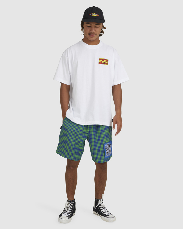 6 Skegss Box - T-Shirt for Men White UBYZT00360 Billabong