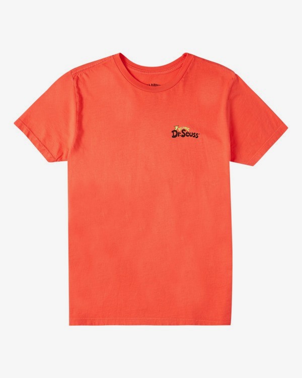 0 Palm Grinch - T-Shirt for Boys  V2SS03BIW0 Billabong