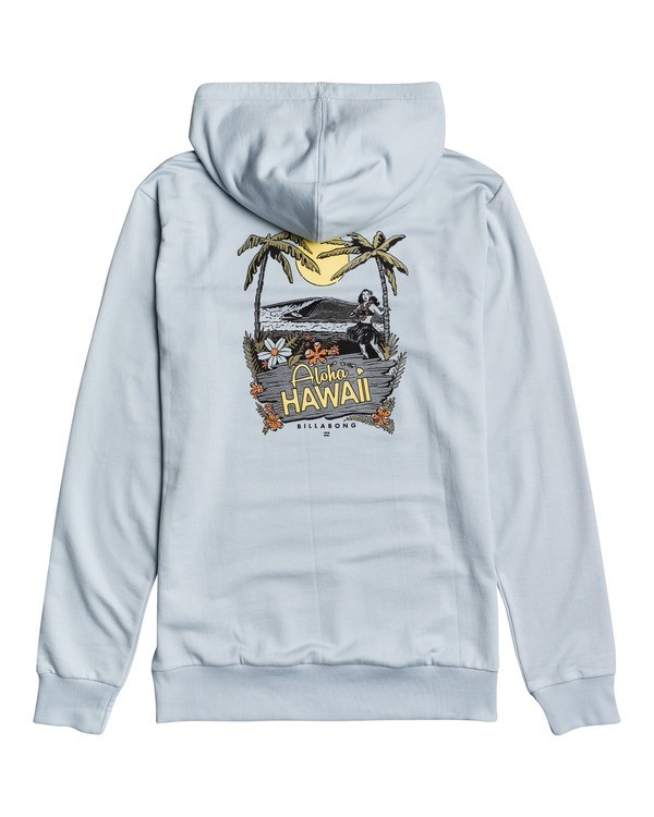 4 Dreamy Places - Sweat à capuche pour Homme Bleu W1HO04BIP1 Billabong