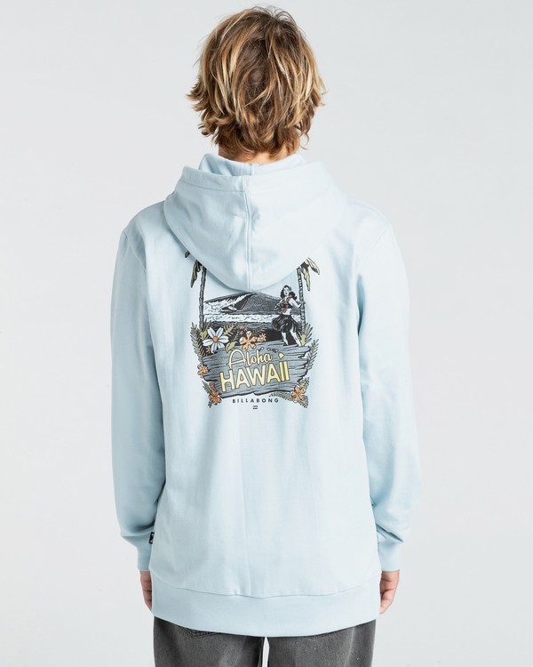 2 Dreamy Places - Sweat à capuche pour Homme Bleu W1HO04BIP1 Billabong