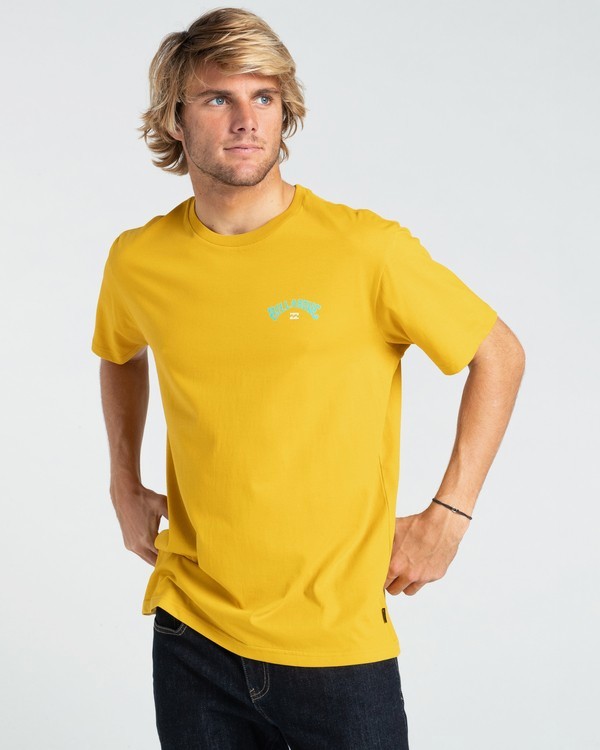 0 Arch Fill - T-shirt pour Homme Beige W1SS45BIP1 Billabong