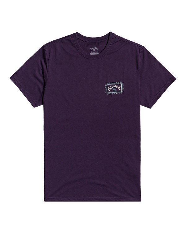2 Adventure Division Arch Wave - T-Shirt for Men Purple W1SS67BIP1 Billabong