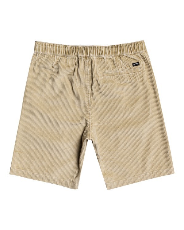 3 Bad Dog 20" - Elasticated Shorts for Men  W1WK32BIP1 Billabong