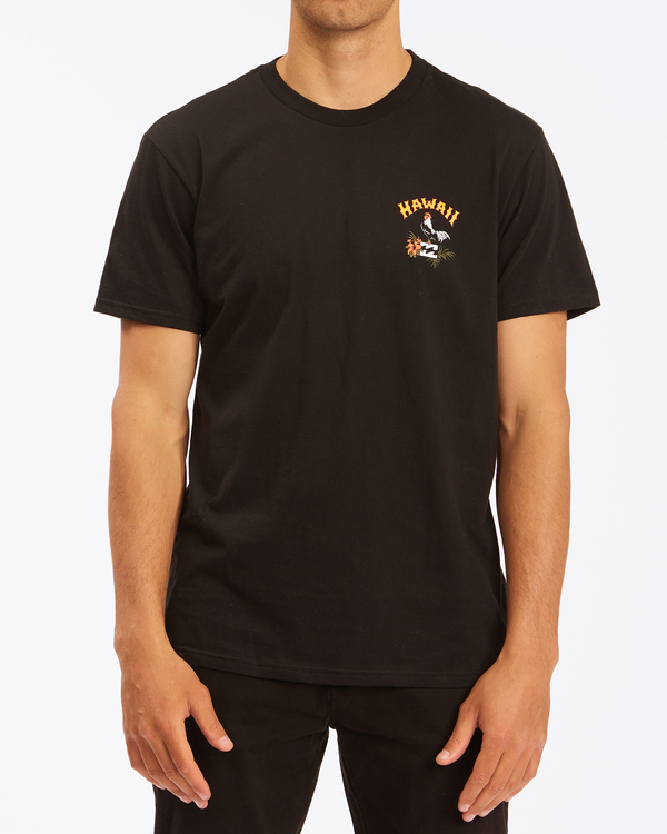 0 Arch Hi - T-Shirt for Men  X1SS05BIS1 Billabong