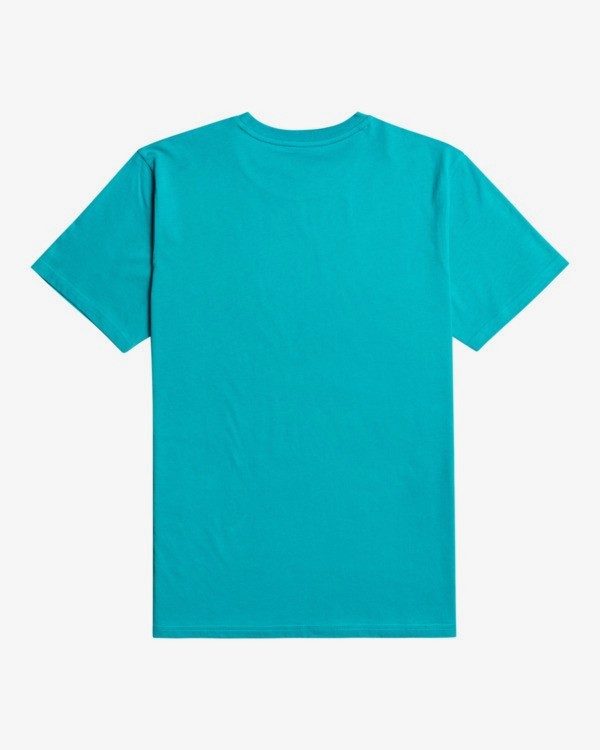 1 Arch - T-shirt voor Heren Blue Z1SS28BIF1 Billabong