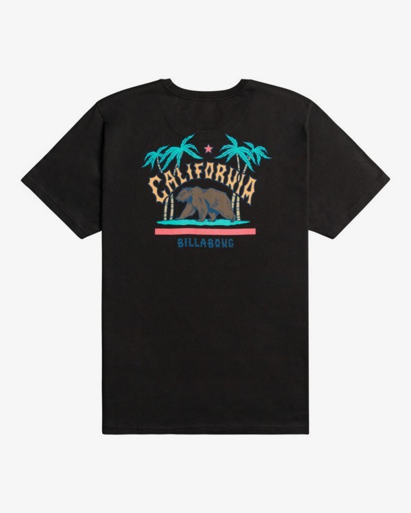 1 Dreamy Places - T-shirt pour Homme  Z1SS39BIF1 Billabong